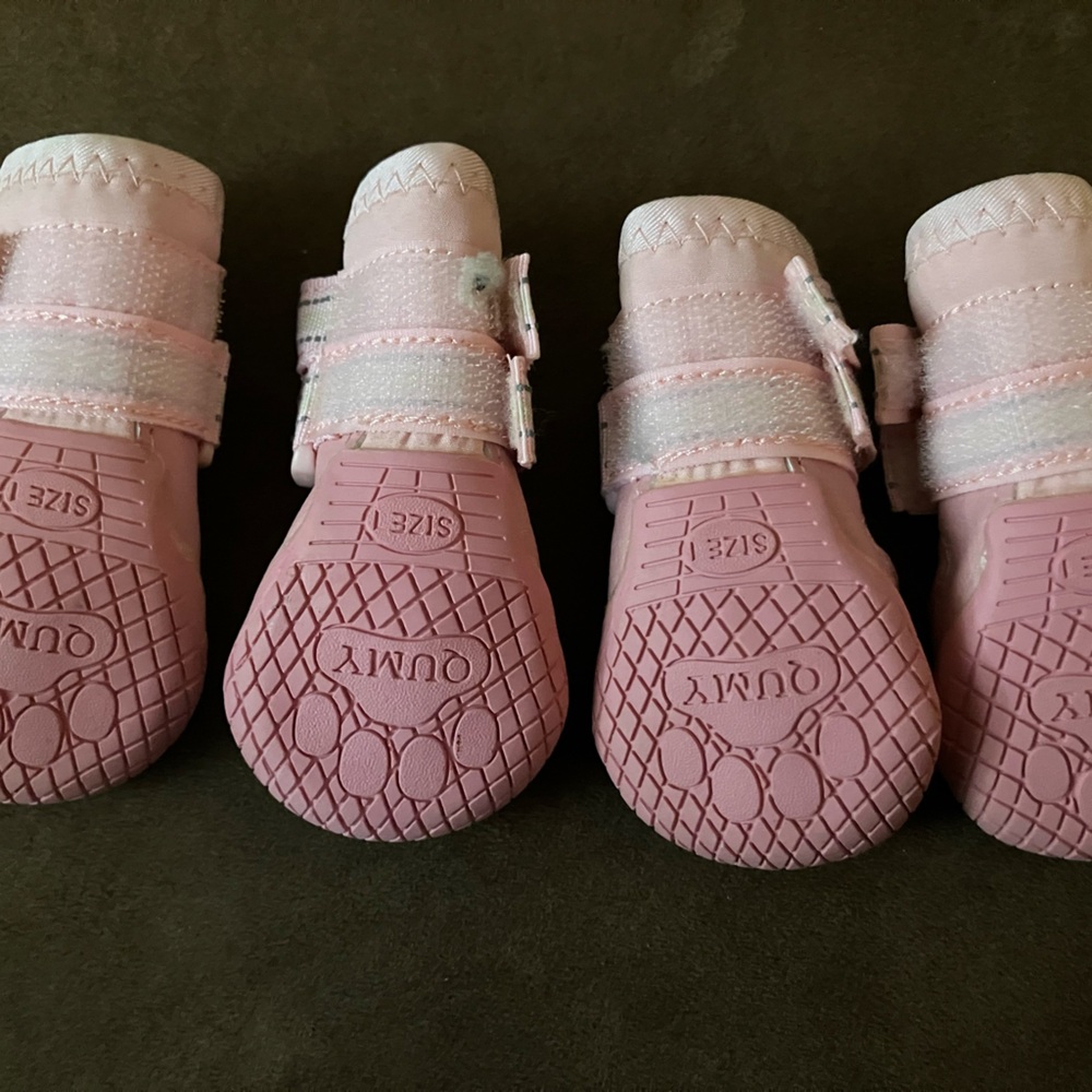 Pink Dog booties